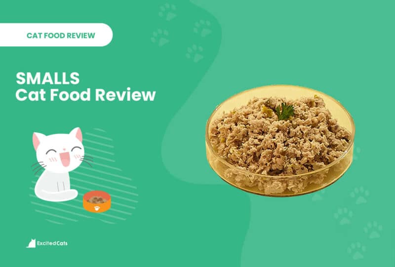 Smalls Cat Food Review of 2024 Pros, Cons & Verdict Catster