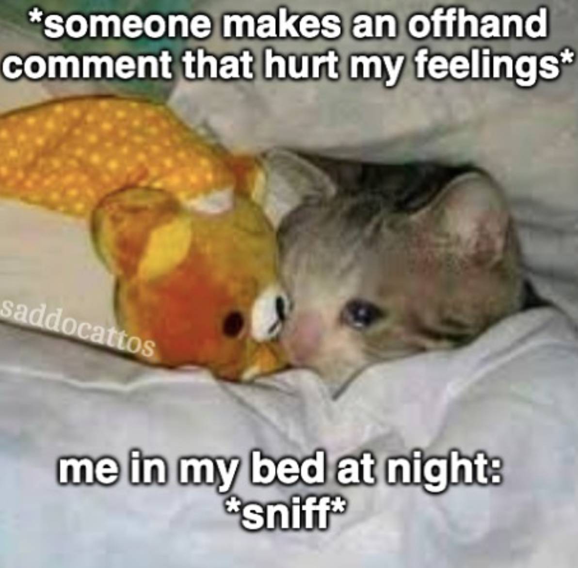 Sad Kitty