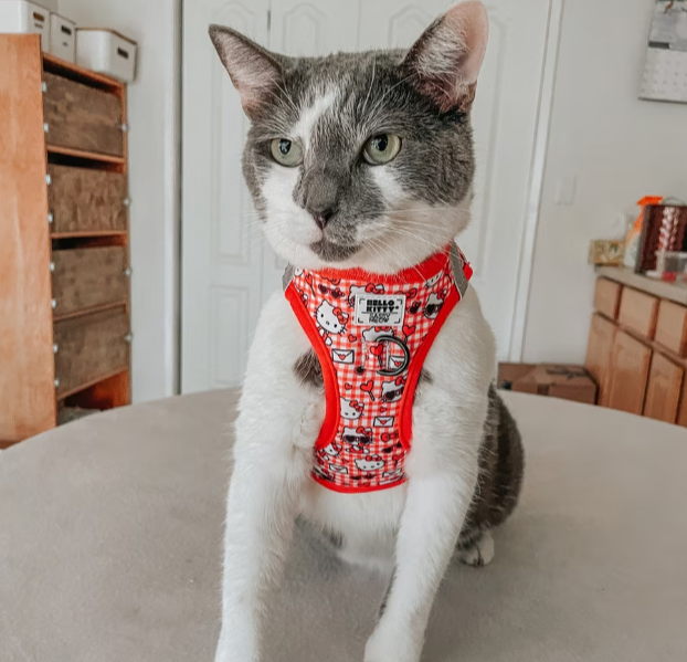 Sassy Woof Hello Kitty Step-In Cat Harness