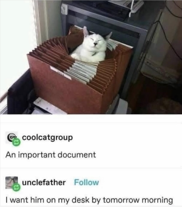 This is the Top Priority