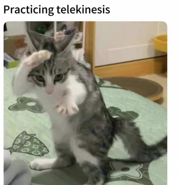 This Isn’t Even His Final Form