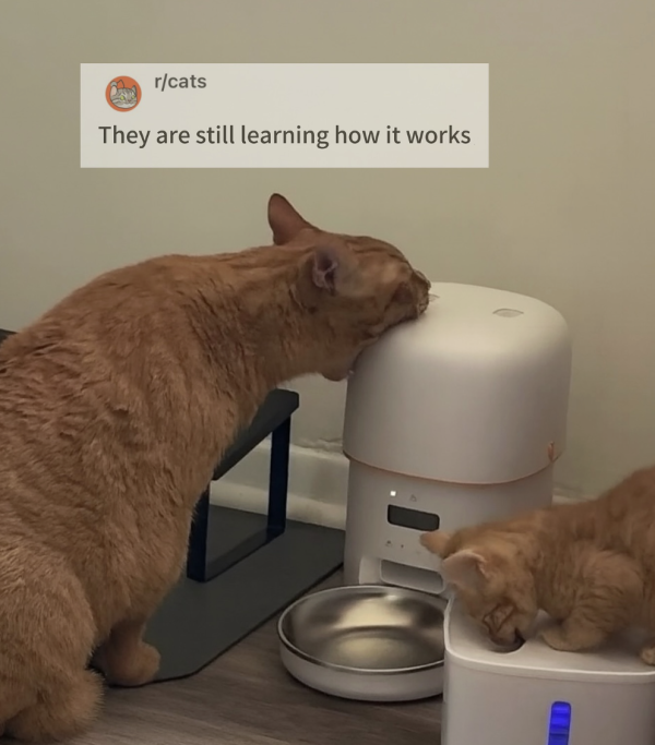 It’s Harder Than it Looks