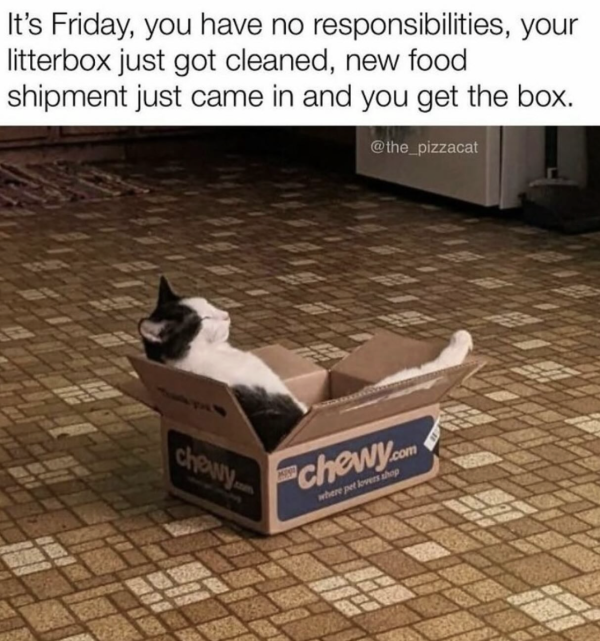 Does it Get Any Better?