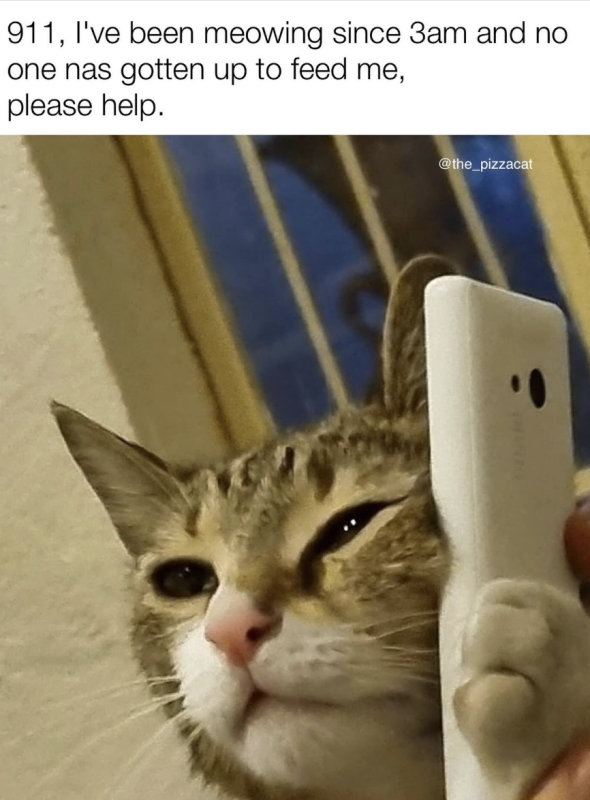 This is an Emergency