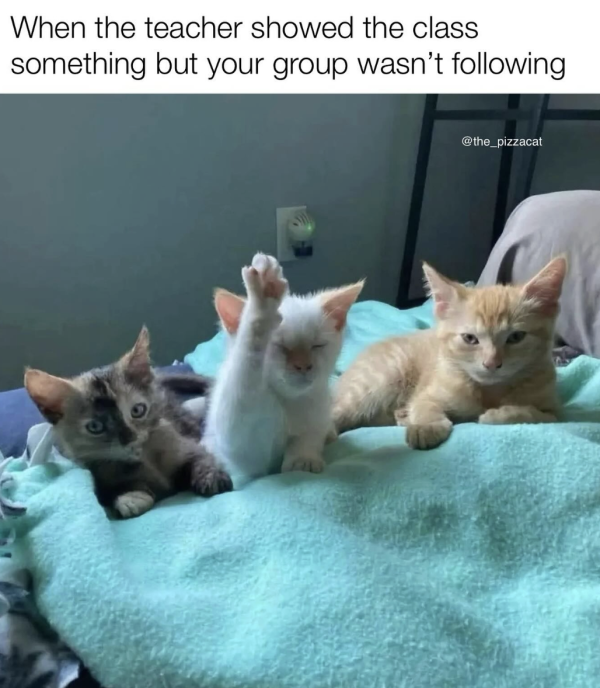 Can You Repeat That?