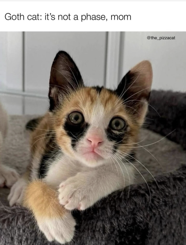 You Just Don’t Get It