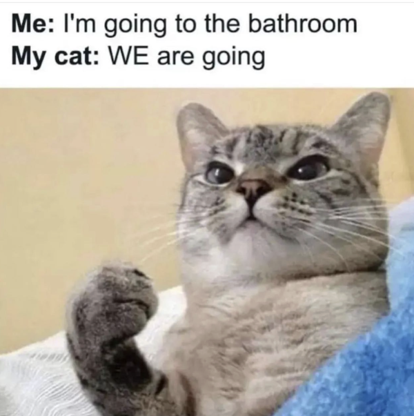 Bathroom Time