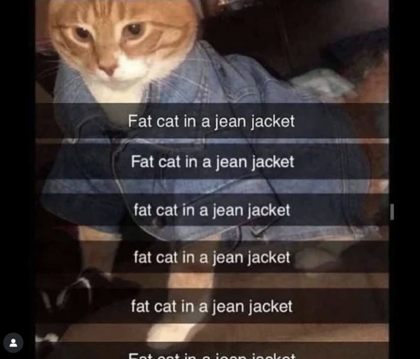 Tommy Boy Is Such a Classic