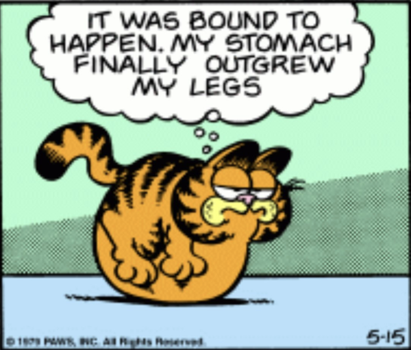 Fat Life Isn’t Always an Easy Life