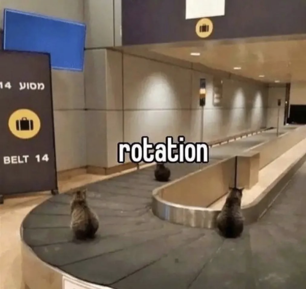 The Regular Rotation