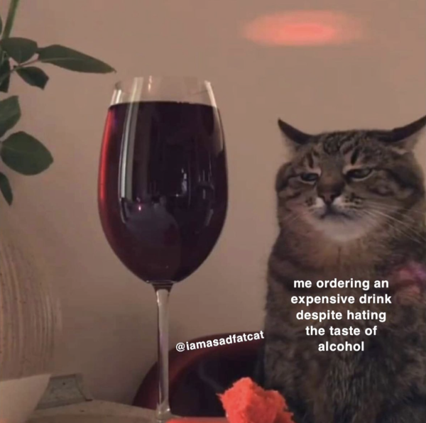 You Can CATch Me at Happy Hour