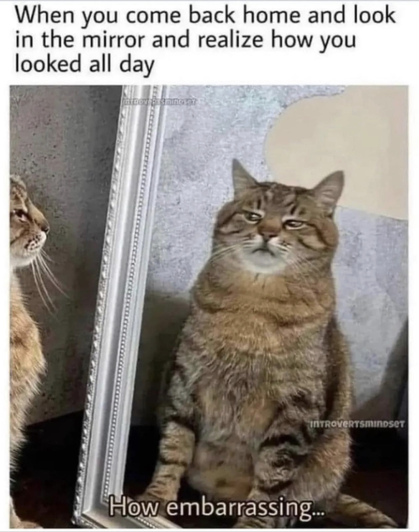 “Why Didn’t Anyone Tell Me I Look Like This?”