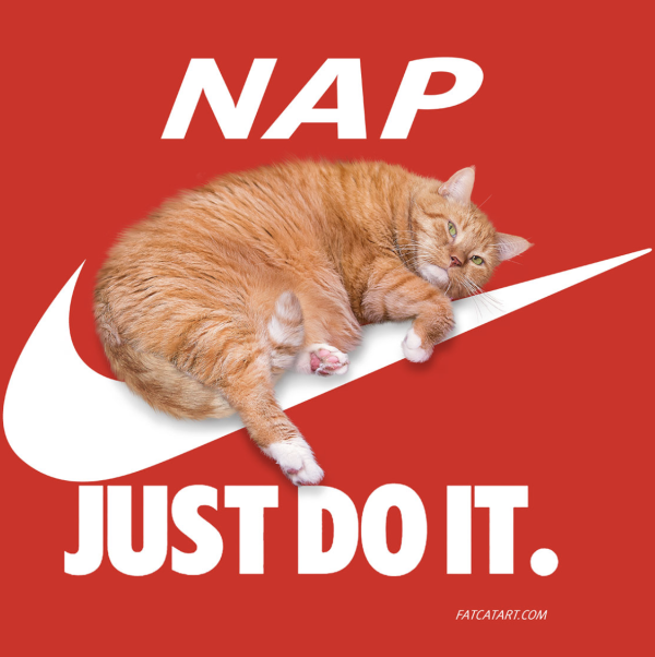 Nike Naps
