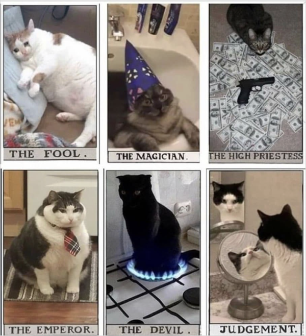 Would You Like Me to Read Your Cards?