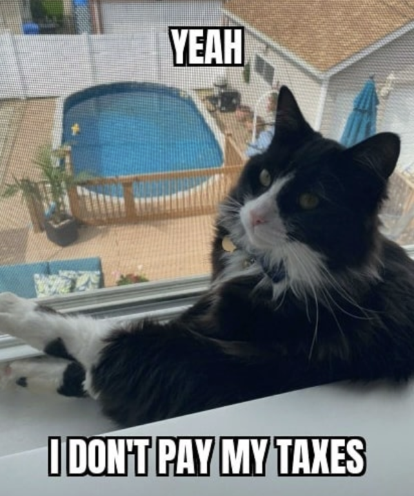 Fat Cat in Every Sense of the Word