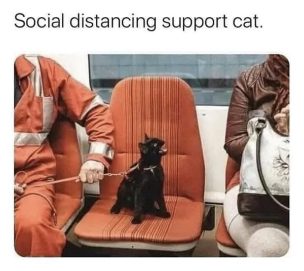 Please Remember to Maintain Proper Social Distancing