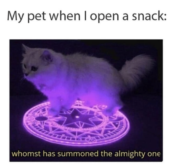 Snack Detected