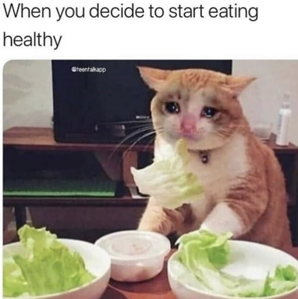 Dieting in a Nutshell