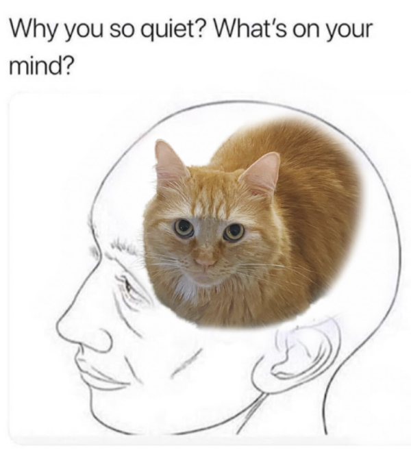 What Is Really on My Mind