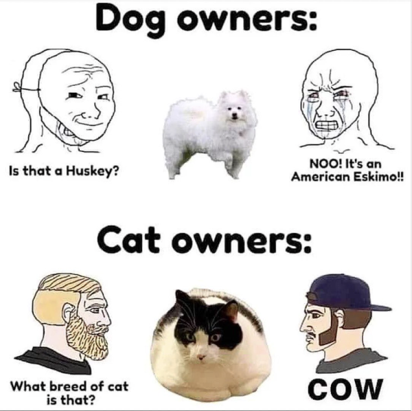 Fat Cat Owners Be Like…