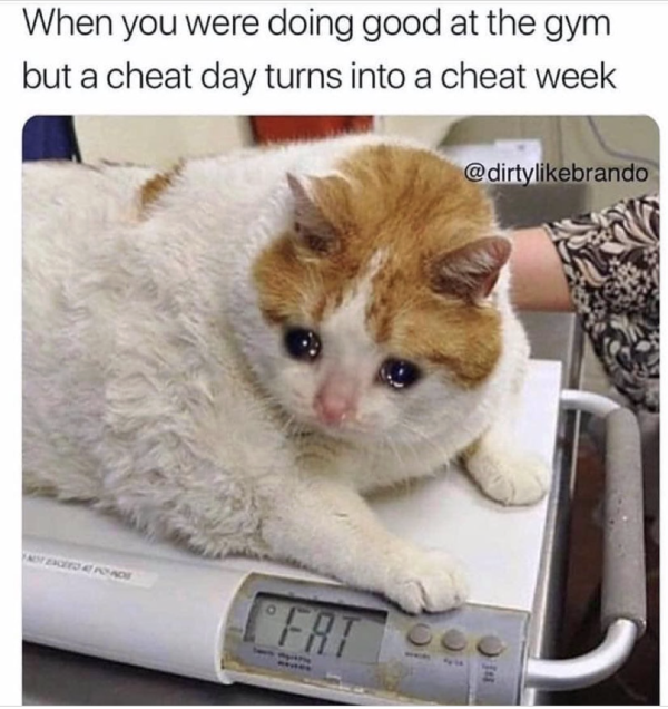 The Scale Doesn’t Lie