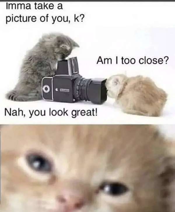 Boomers Taking Pictures Like…