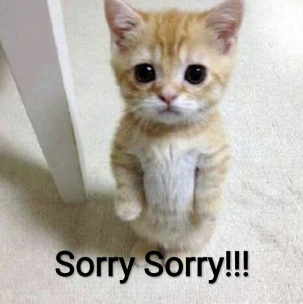 Please Accept My Most Sincere Apologies