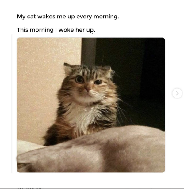 Me Every Morning