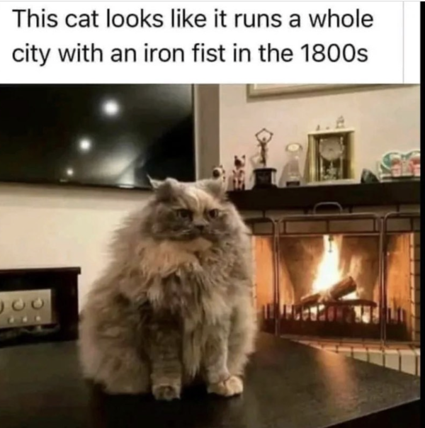 “Another Day, Another Poor Tax”