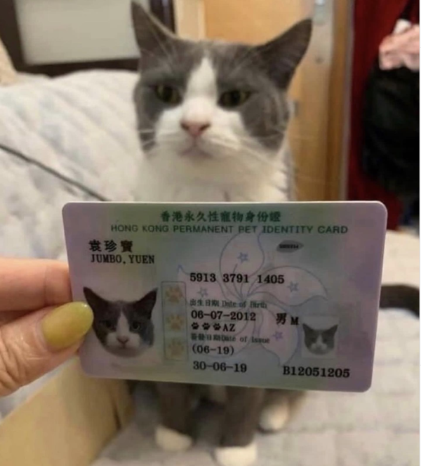 “That IS My Name. Do You Need to See ID?”