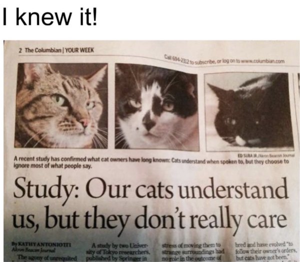 Confirming What We All Already Knew