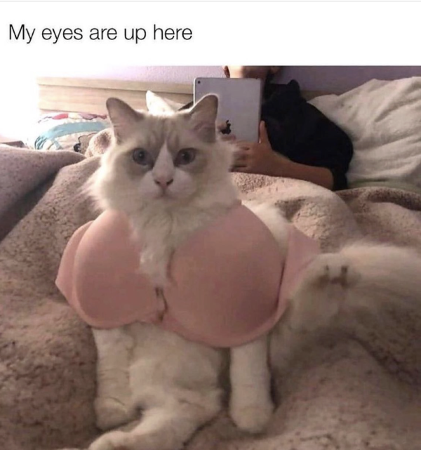 Eyes to Yourself Please