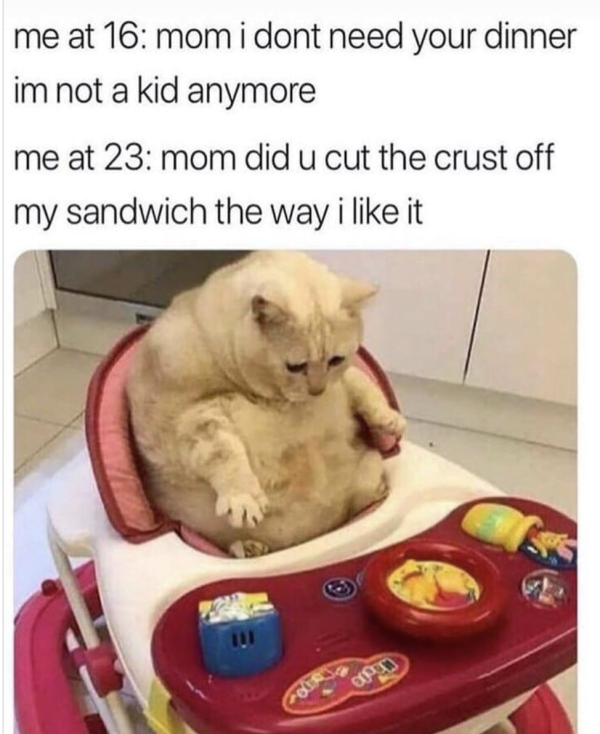 Every Time You Go Home to Your Parents’ House