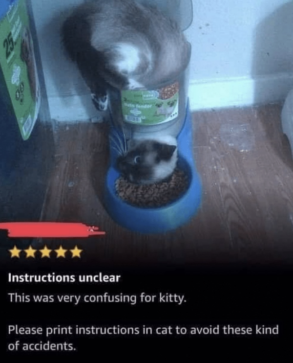 Five Stars, Would Purchase Again