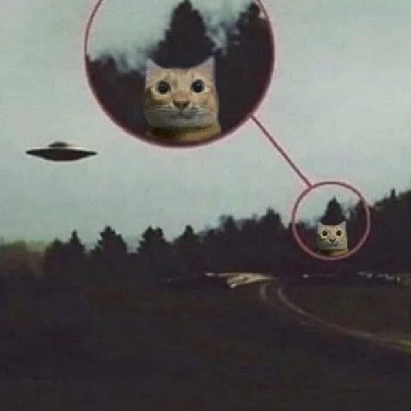 Are Cats Aliens?