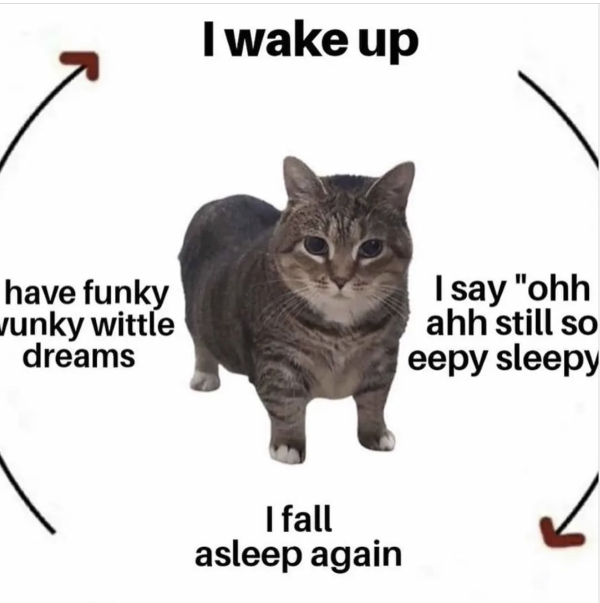 The Anatomy of a Fat Cat’s Schedule