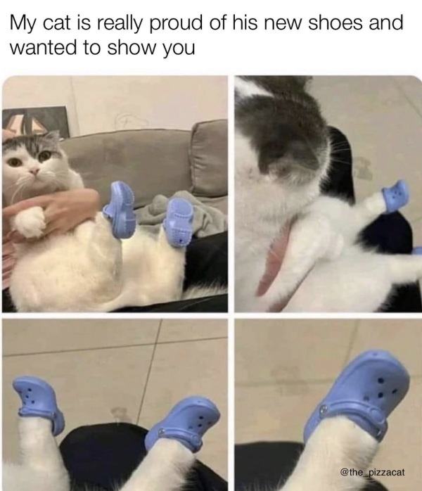 This Croc Craze Has Really Gotten Out of Hand