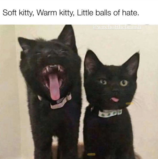 Soft Kitty, Warm Kitty