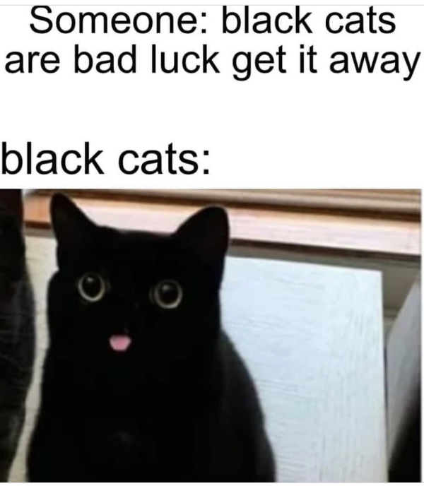 Black Cats