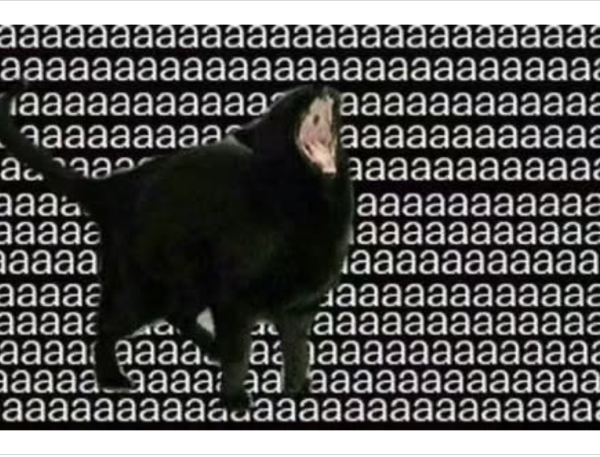 We’ve All Been There