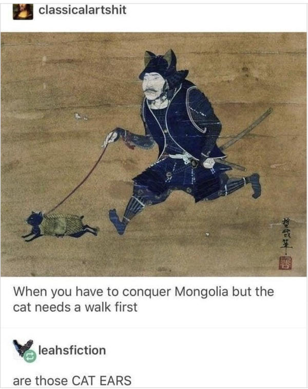 Take the Cat for a Walk