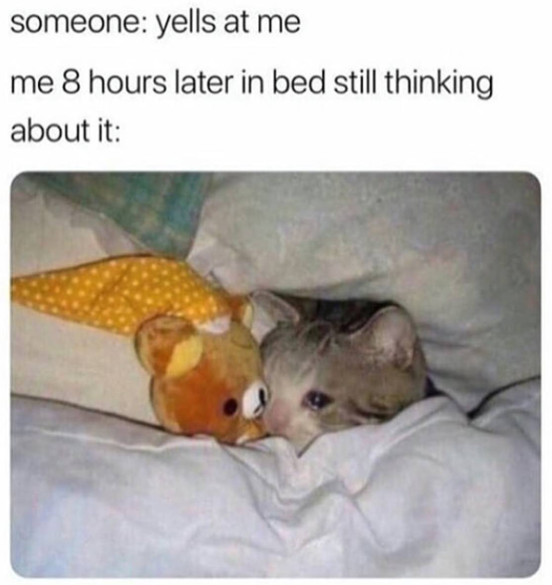 Sensitive Emotional Kitty