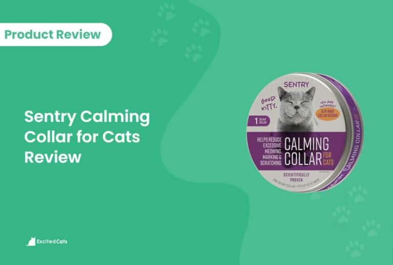 Sentry Calming Collar for Cats Review 2024 Pros, Cons & FAQ Catster