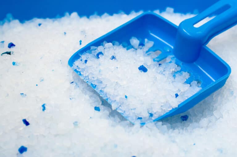 Can You Use Shredded Paper for Cat Litter? VetApproved Facts & Tips