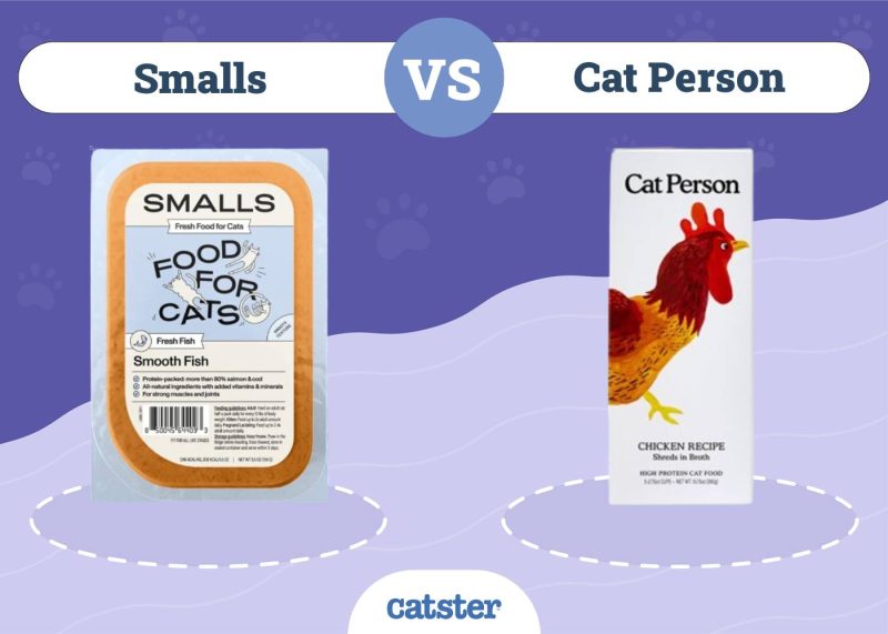 Smalls VS Cat Person