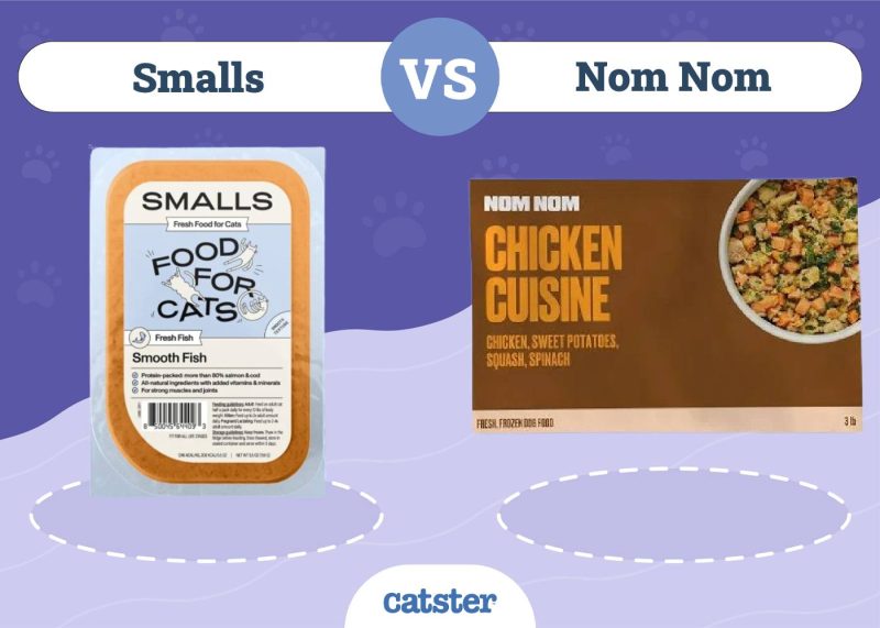 Smalls VS Nom Nom