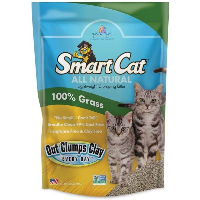 SmartCat Unscented Clumping Grass Cat Litter