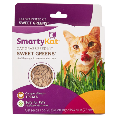 SmartyKat Sweet Greens Cat Grass