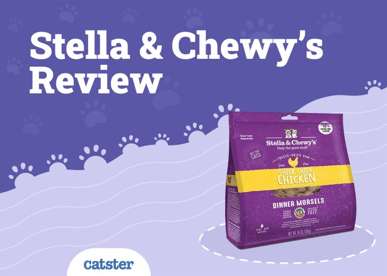 Stella & Chewy’s Cat Food Reviews 2024 Recalls, Pros & Cons Catster