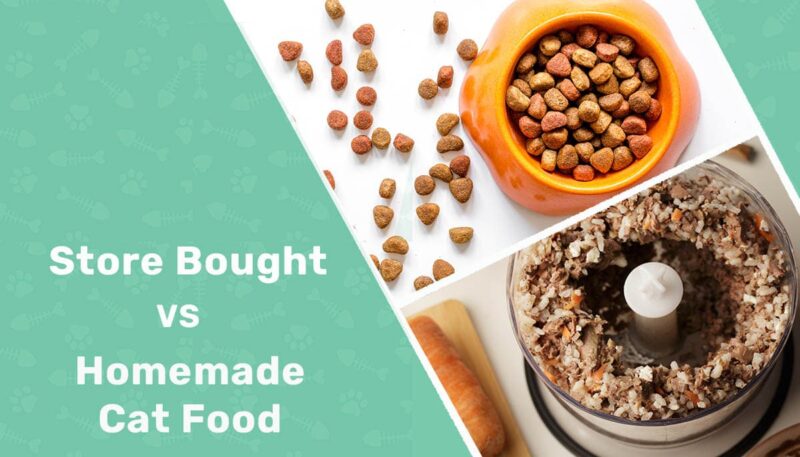Store Bought vs Homemade Cat Food